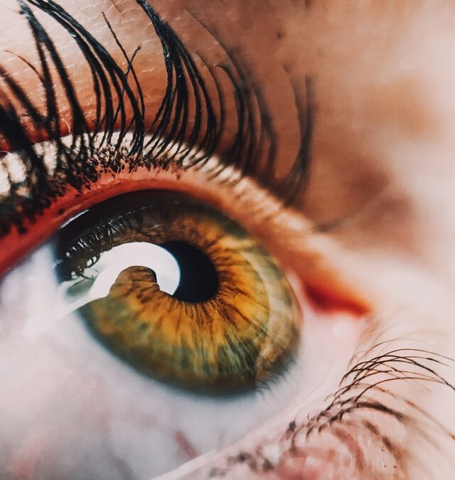 Quels sont les meilleurs soins pour les cils ?